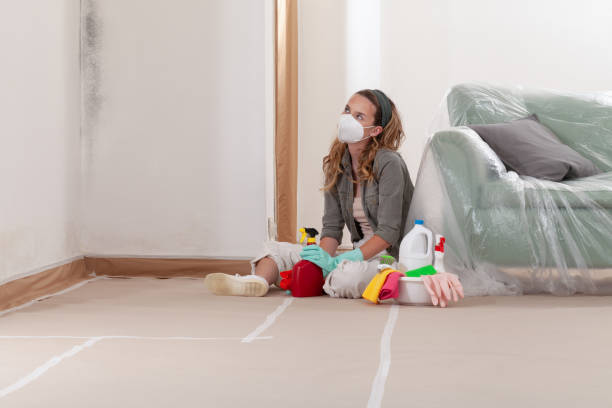Reliable Commercial Mold Remediation contractor in East Earl, PA by WQB Mold Removal